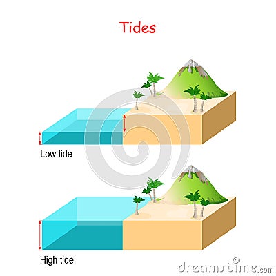 High and low tides. water â€‹â€‹level Vector Illustration